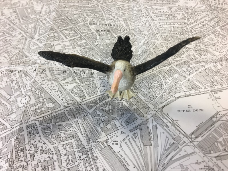 A plastic toy albatross on an old map of Aberdeen