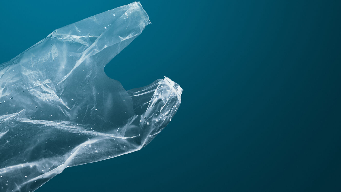Fishes' view of a plastic bag floating in water