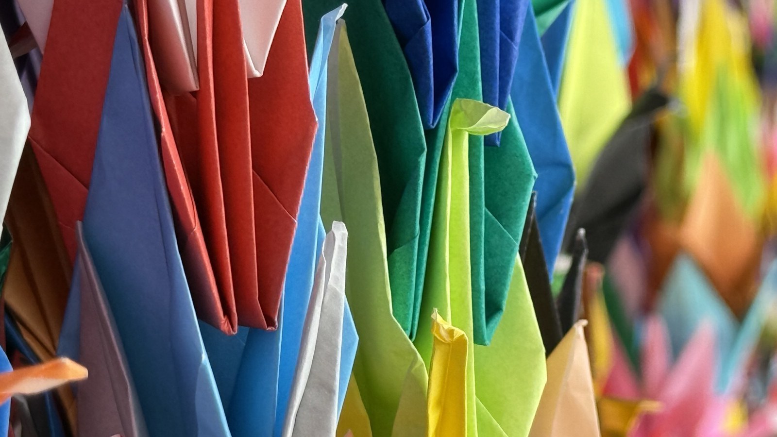 Narrow depth of field image of hundreds of colourful paper cranes hanging out side one of the temples at the Izumi Taishi shrine in Japan